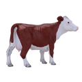 Hereford Cow
