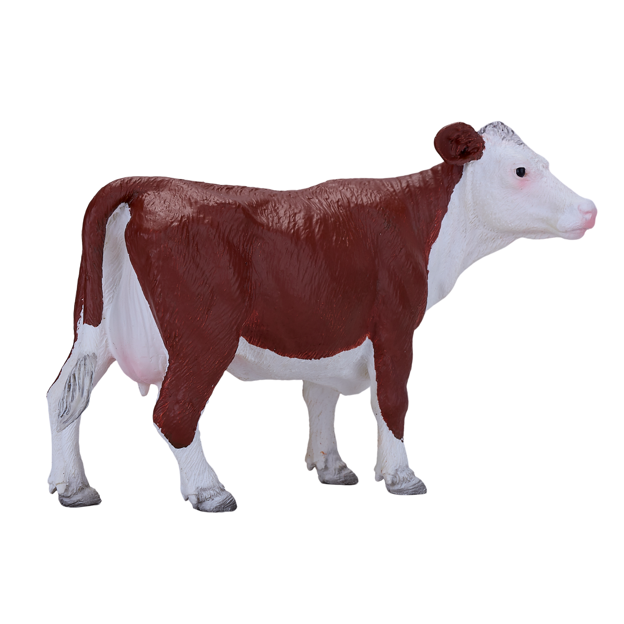 Hereford Cow
