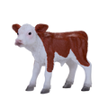 Hereford Calf
