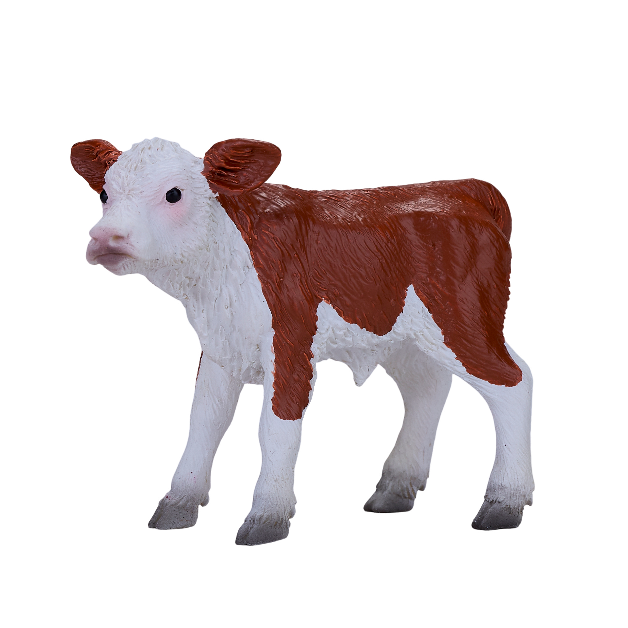 Hereford Calf