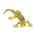 Leopard Gecko