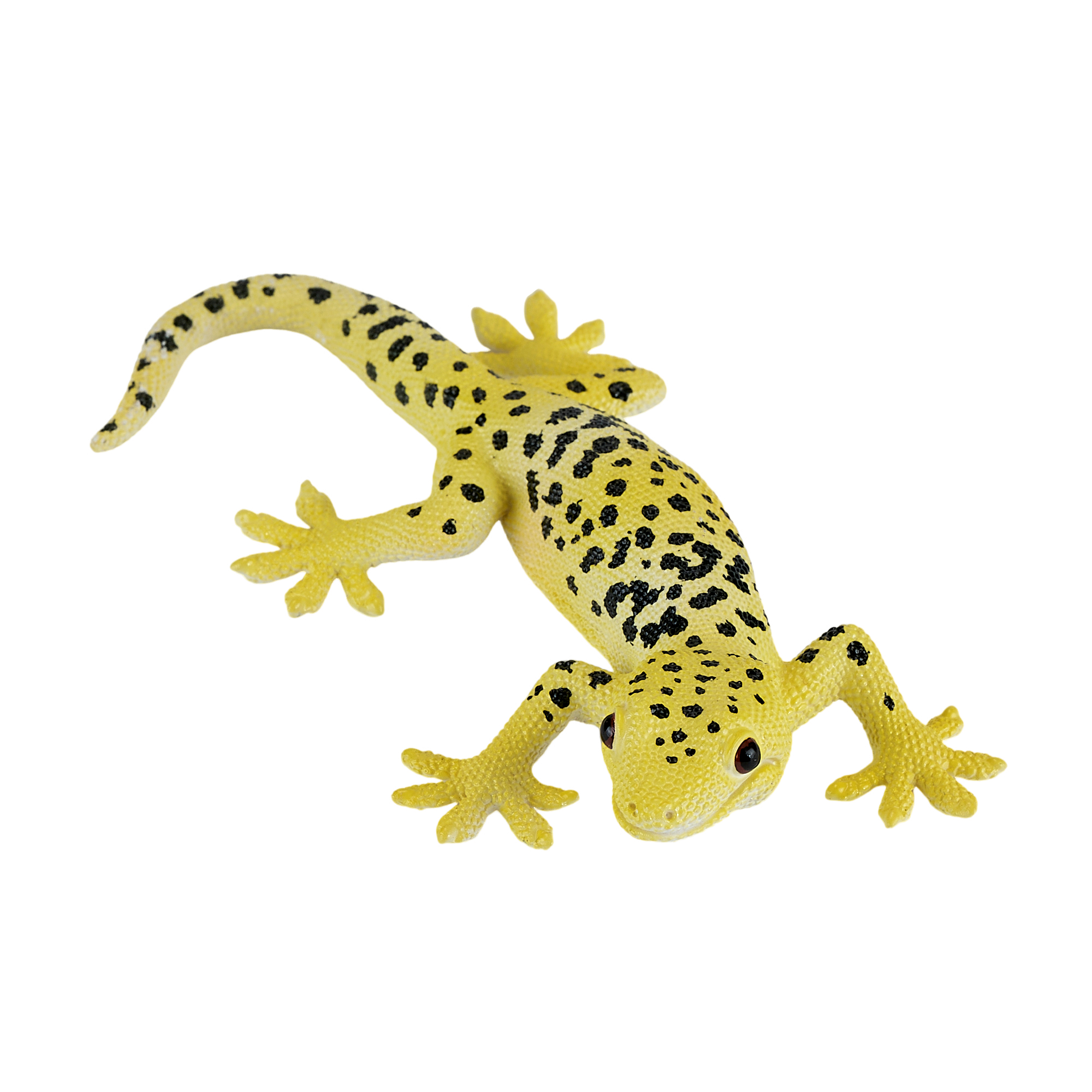 Leopard Gecko