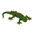 Gecko