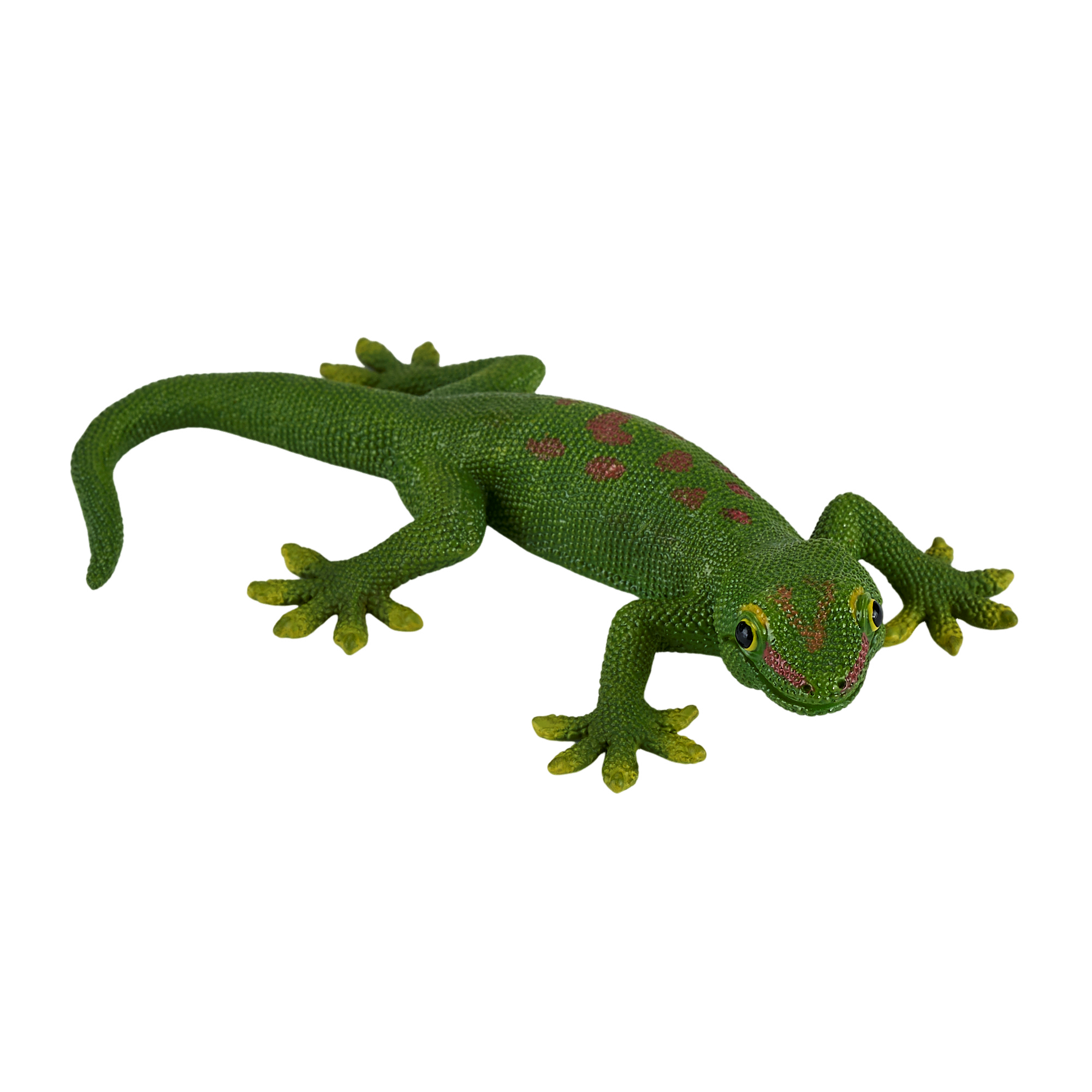 Gecko