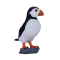 Atlantic Puffin