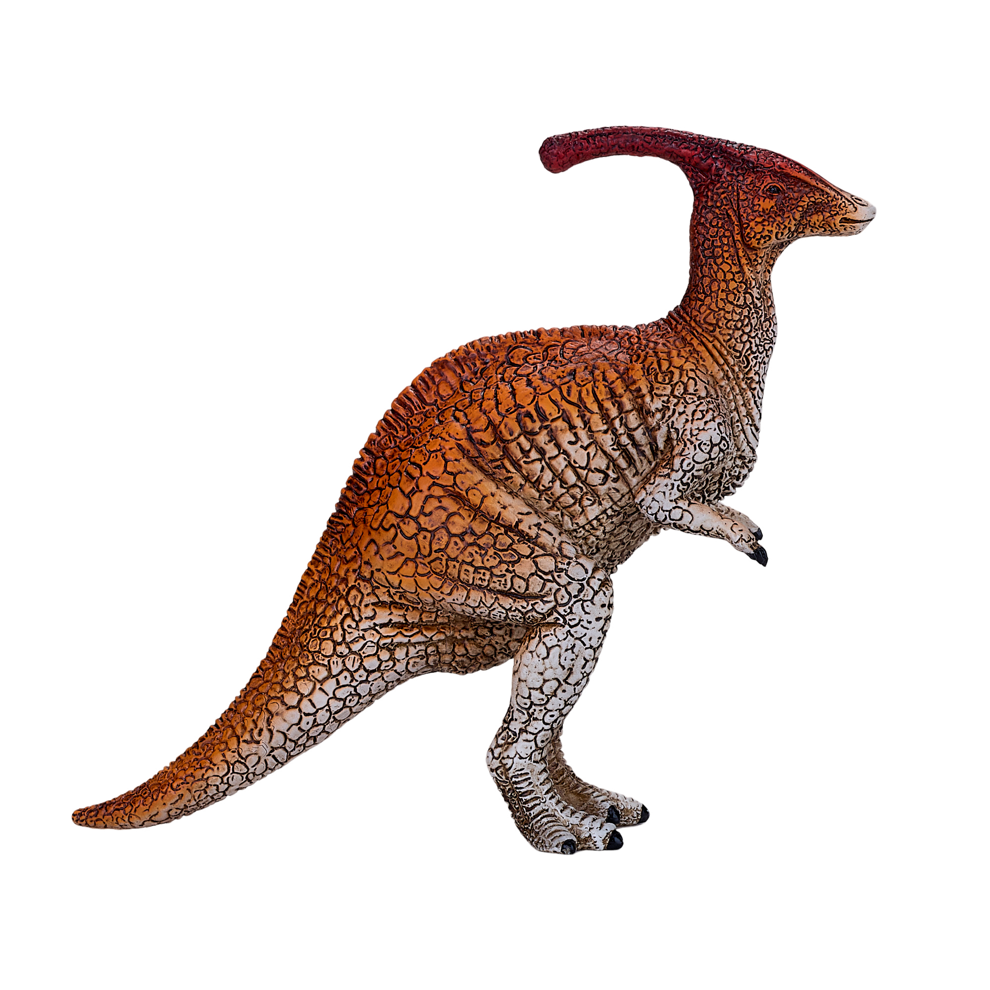 Parasaurolophus
