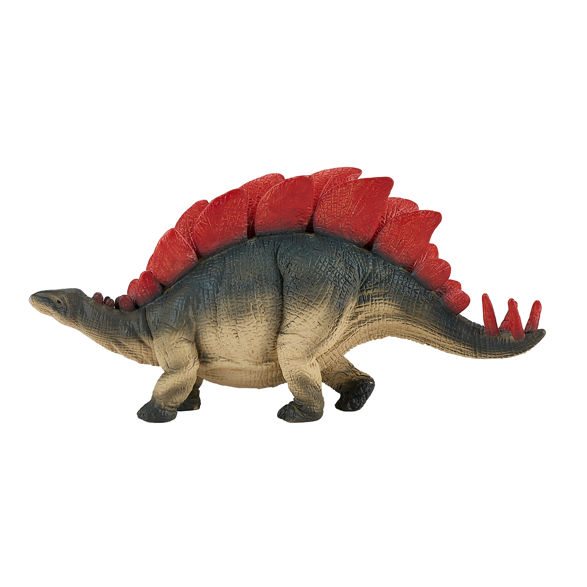 Stegosaurus