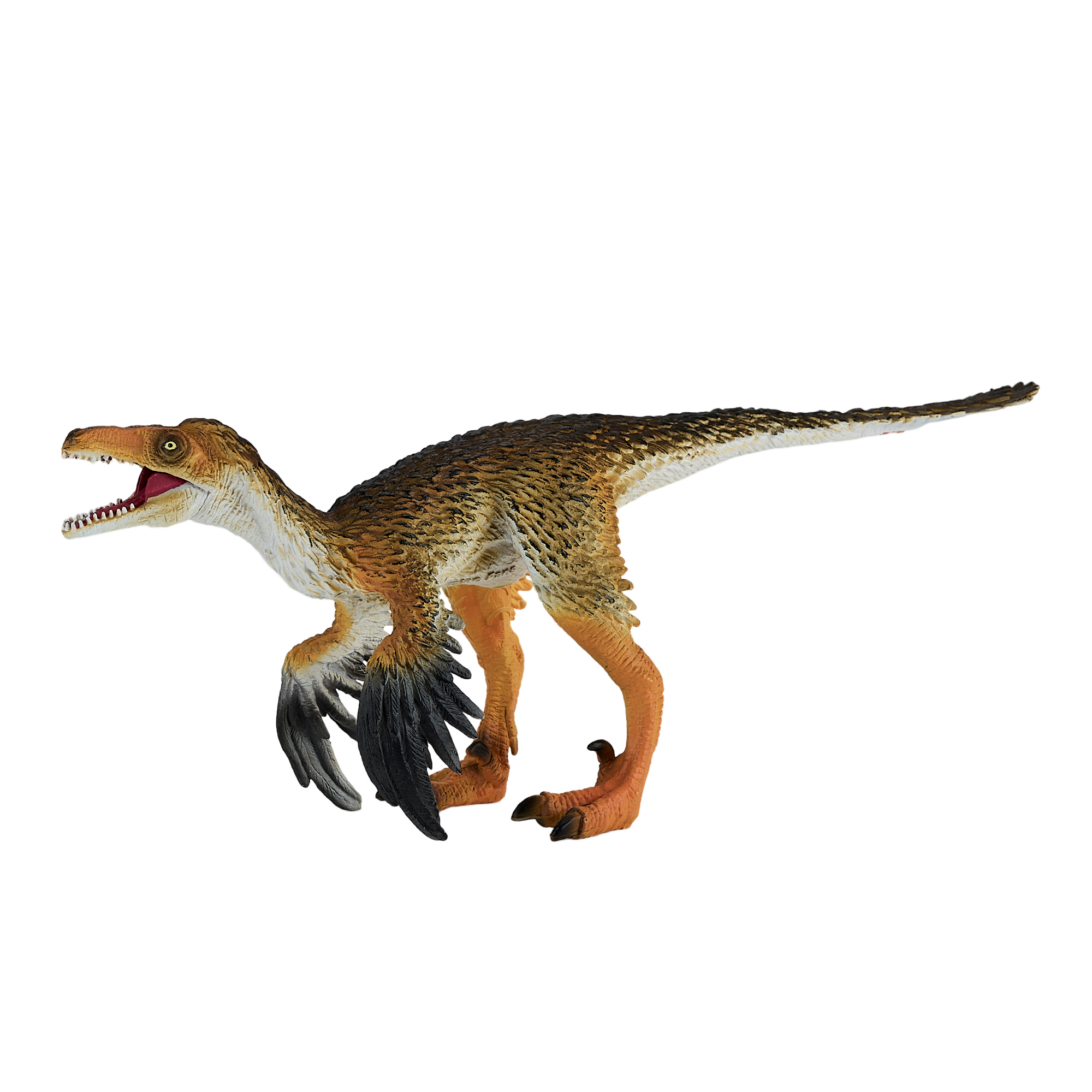 Troodon with Articulated Jaw