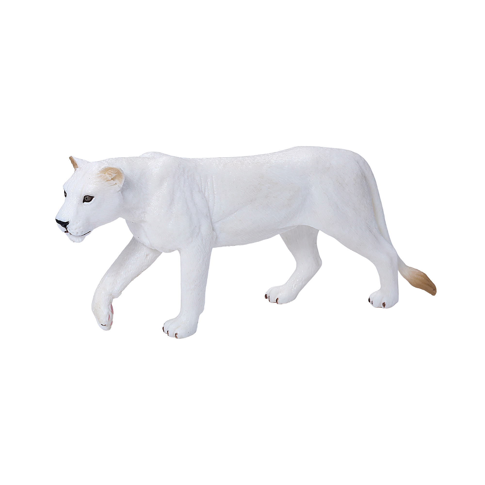 White Lioness