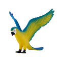 Blue Macaw Parrot