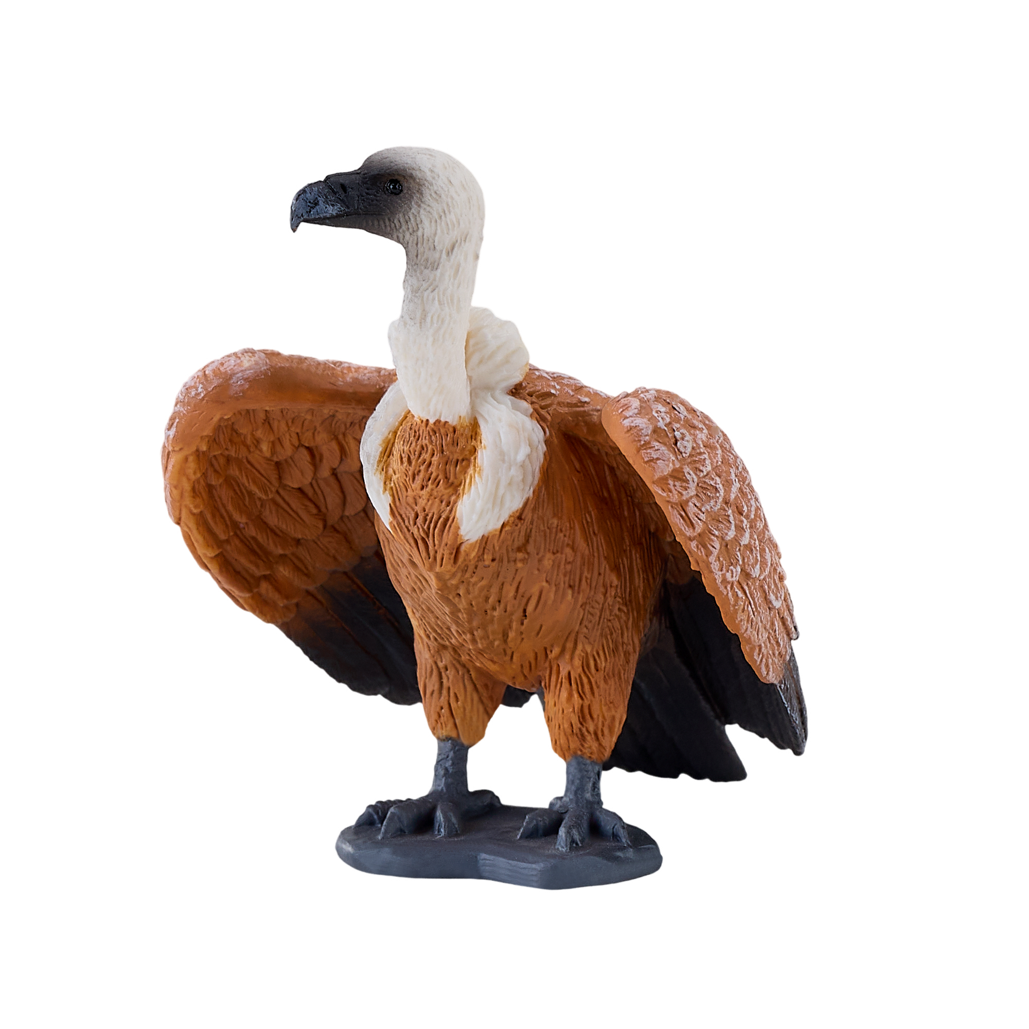 Griffon Vulture
