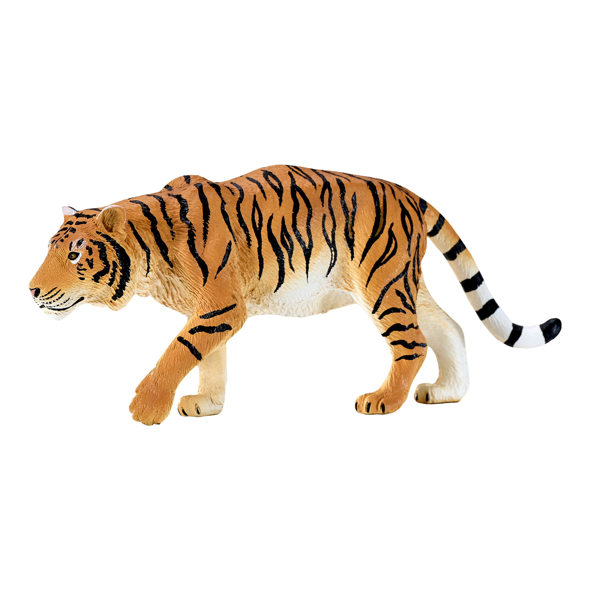 Tiger Hunting