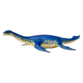 Cryptoclidus