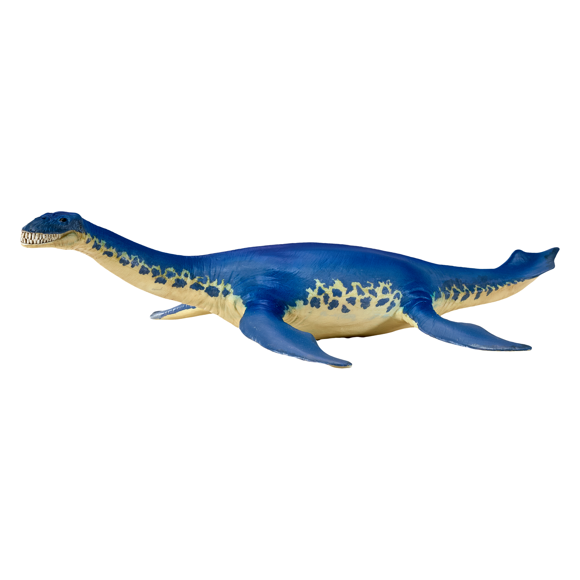 Cryptoclidus