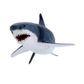 Great White Shark