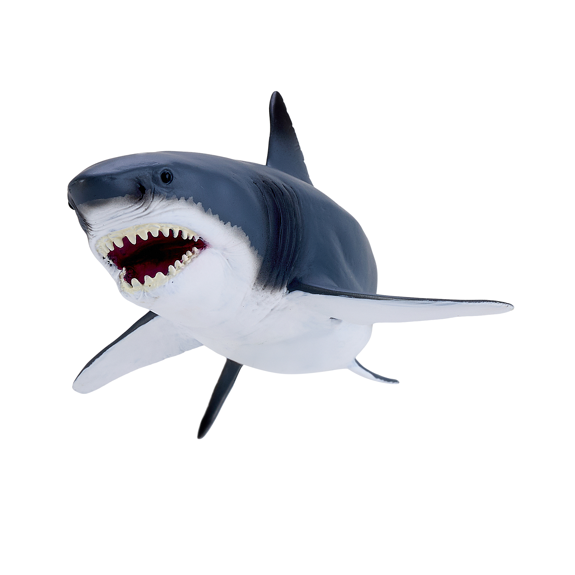 Great White Shark