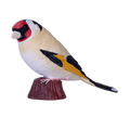 European Goldfinch