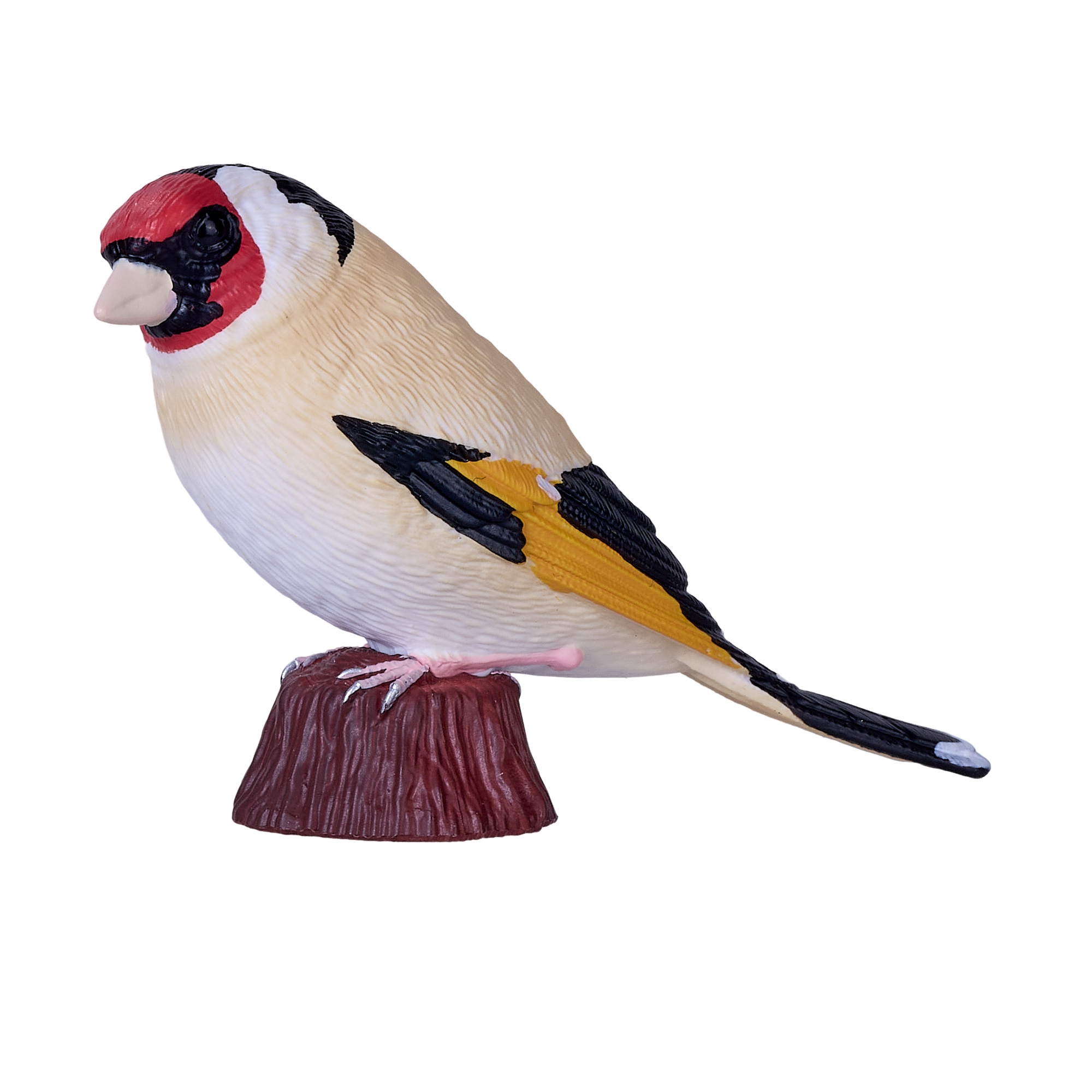 European Goldfinch