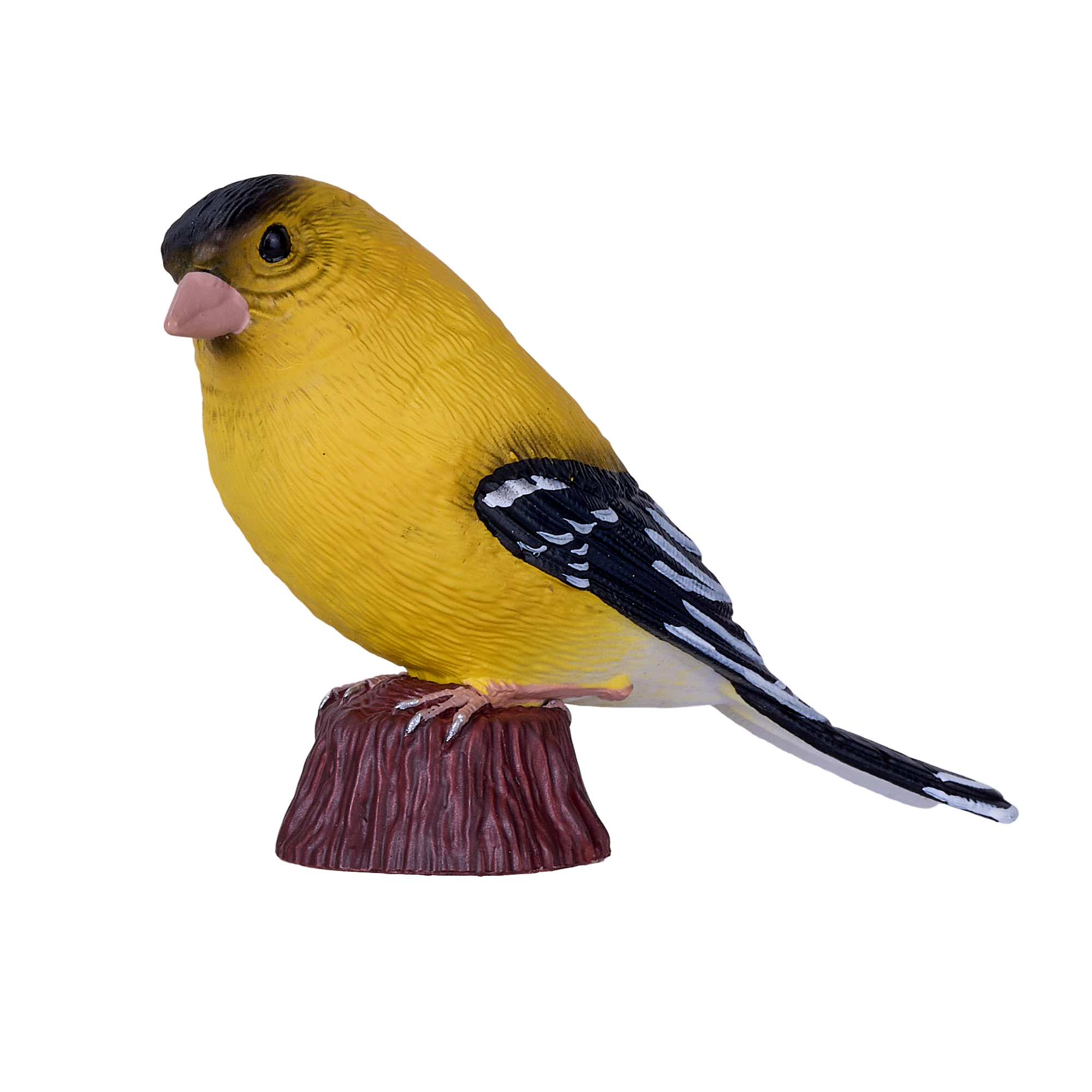 American Goldfinch