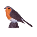 Robin