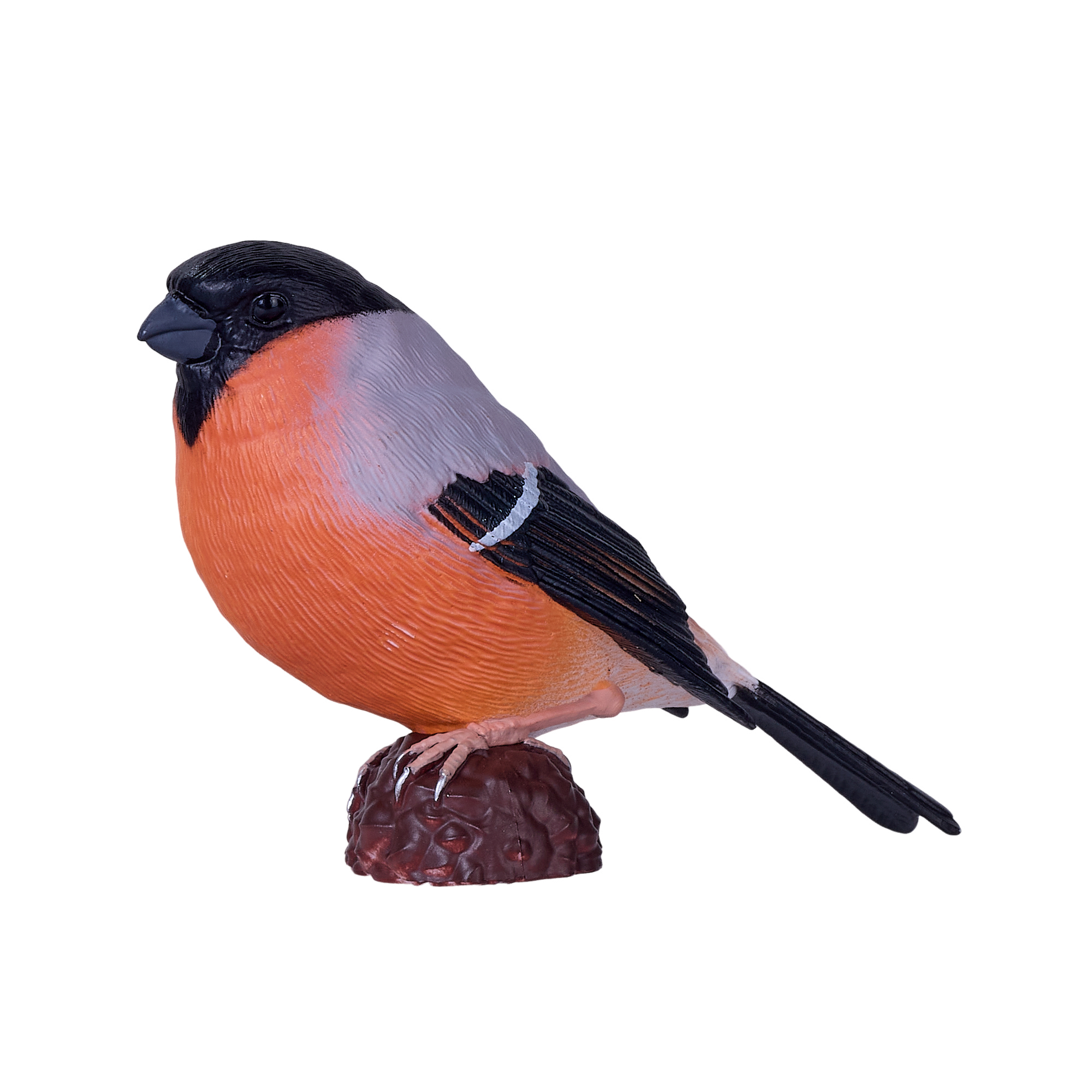Bullfinch