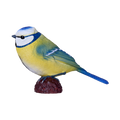 Blue Tit
