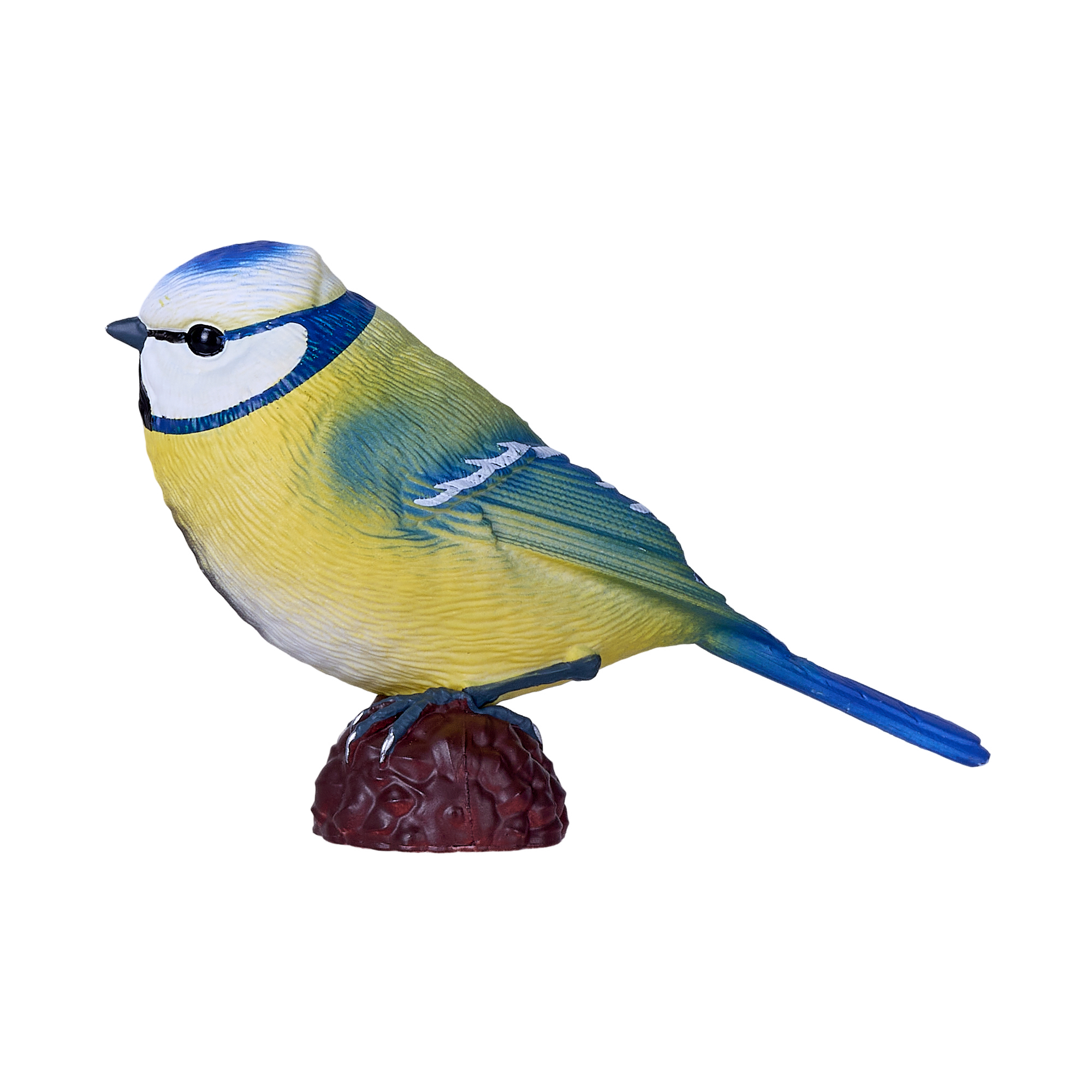 Blue Tit