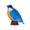 Kingfisher