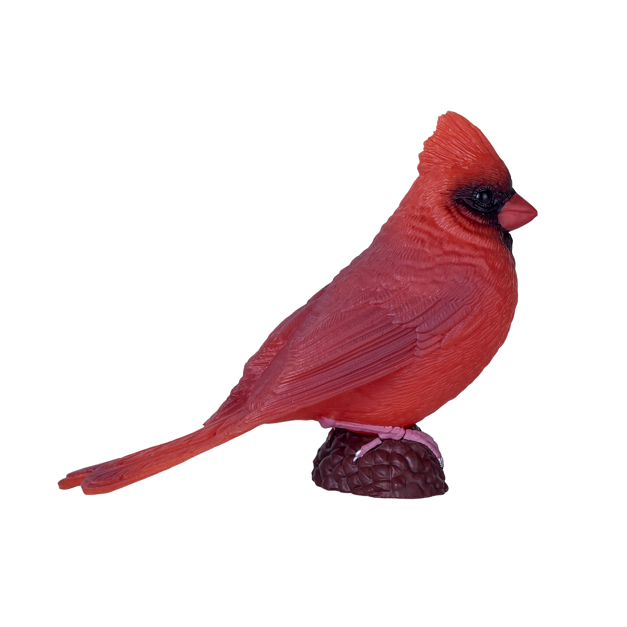 Red Cardinal