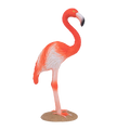 American Flamingo