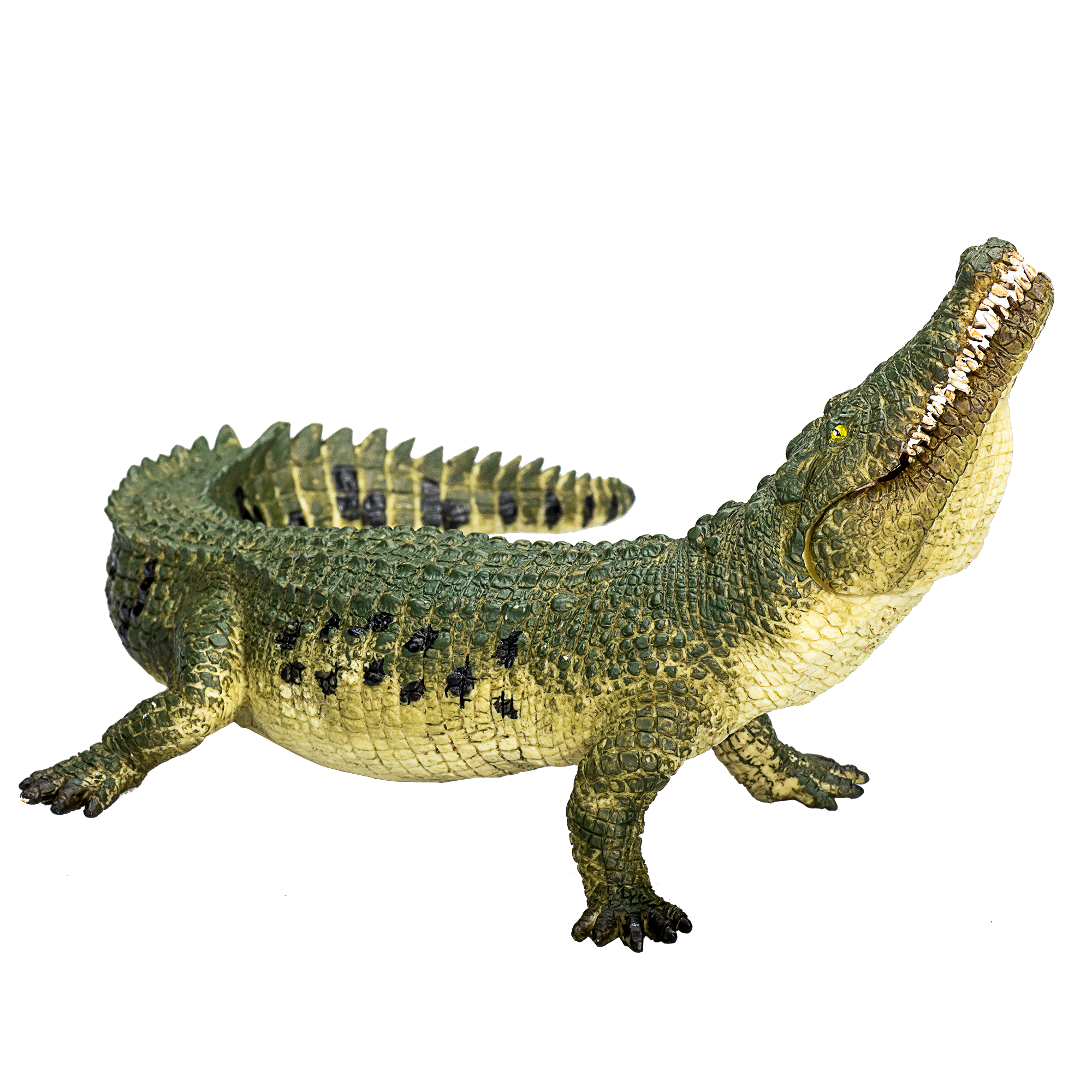 Crocodile with Articulated Jaw