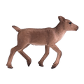 Reindeer Calf