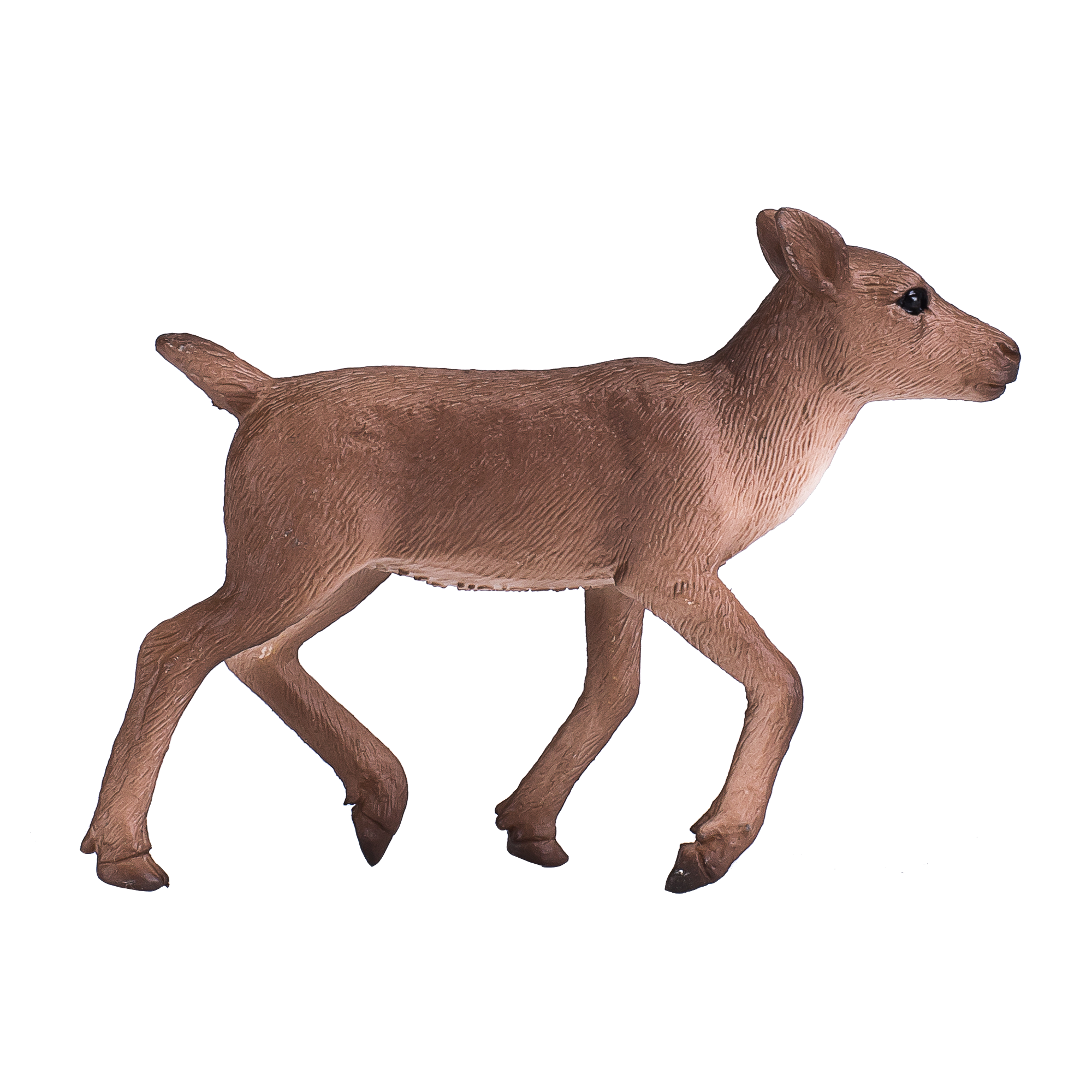 Reindeer Calf