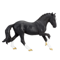 Hanoverian Black