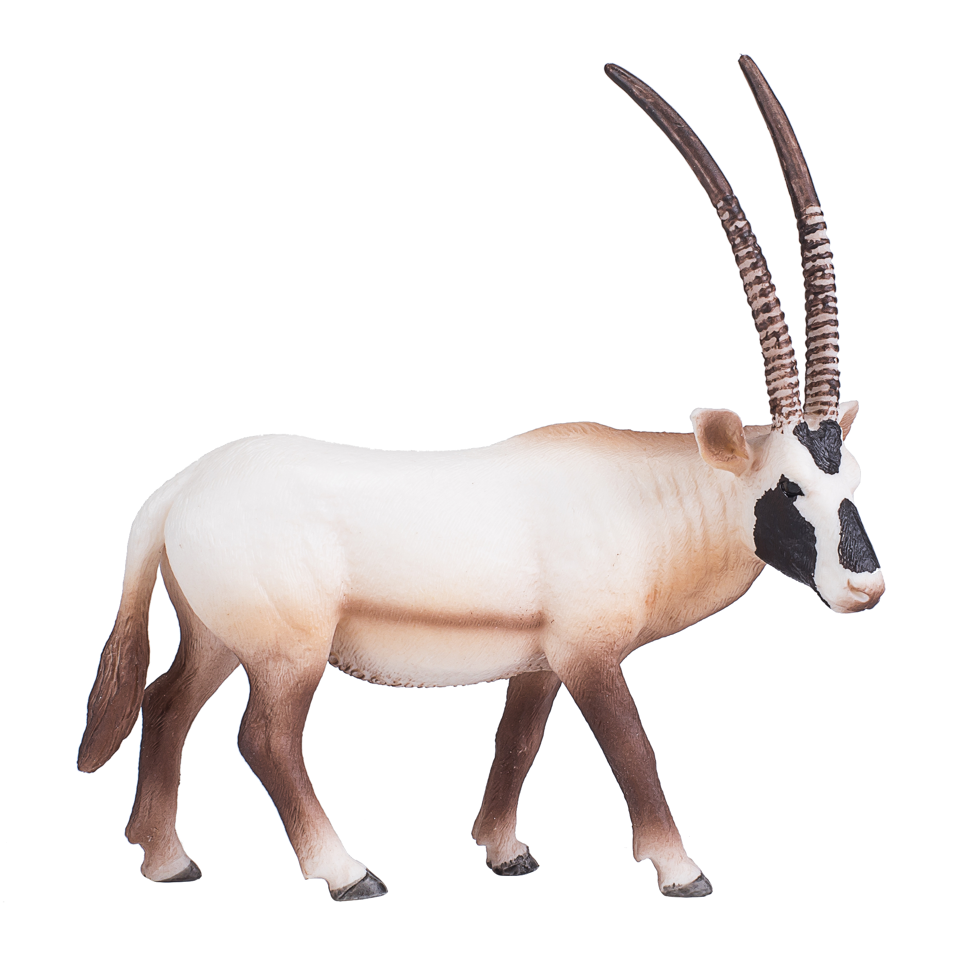 Arabian Oryx