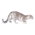 Snow Leopard