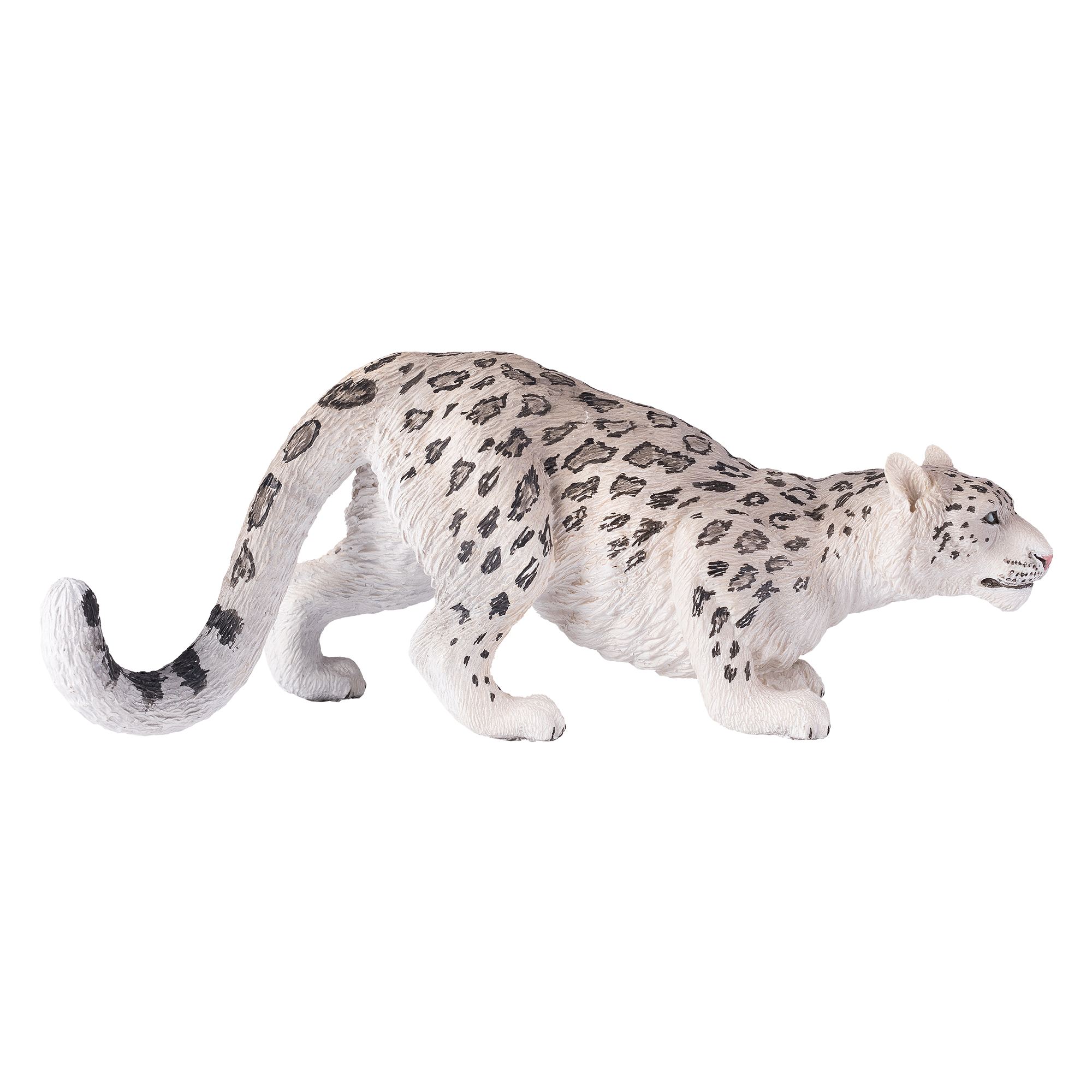 Snow Leopard
