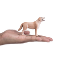 Labrador