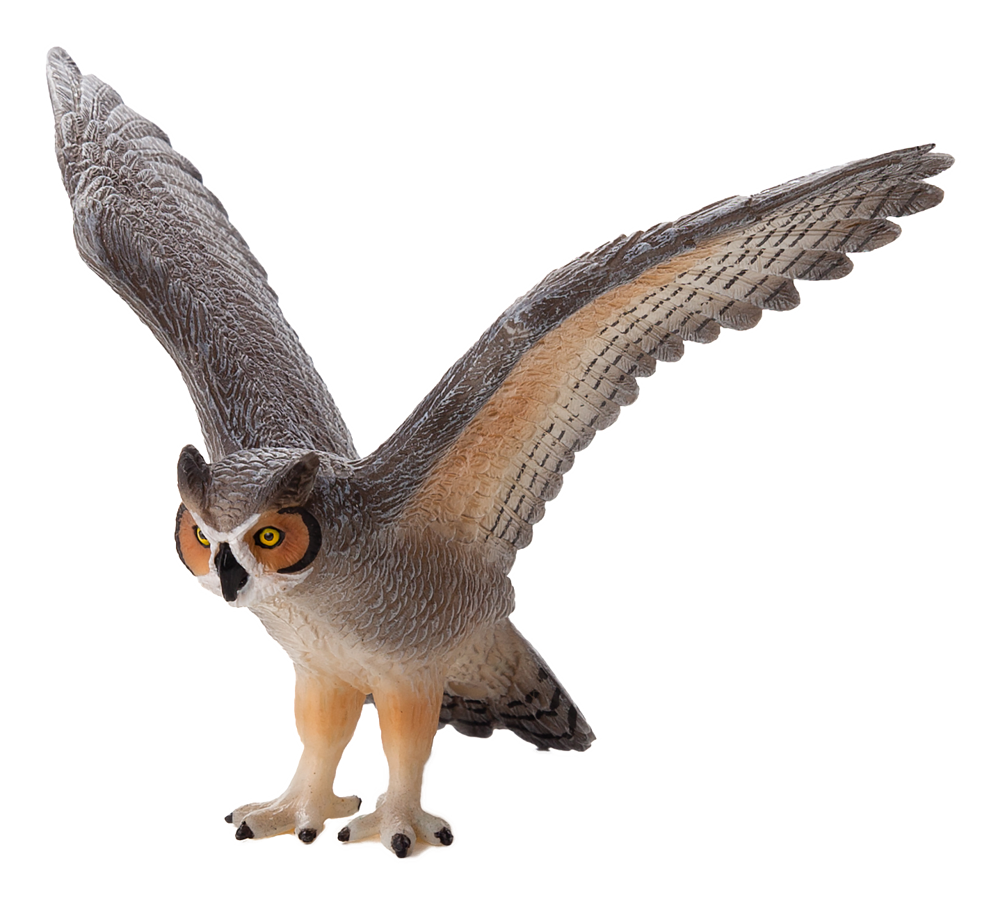 Great Horned Owl