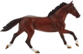 Thoroughbred