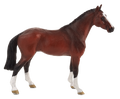Dutch Warmblood