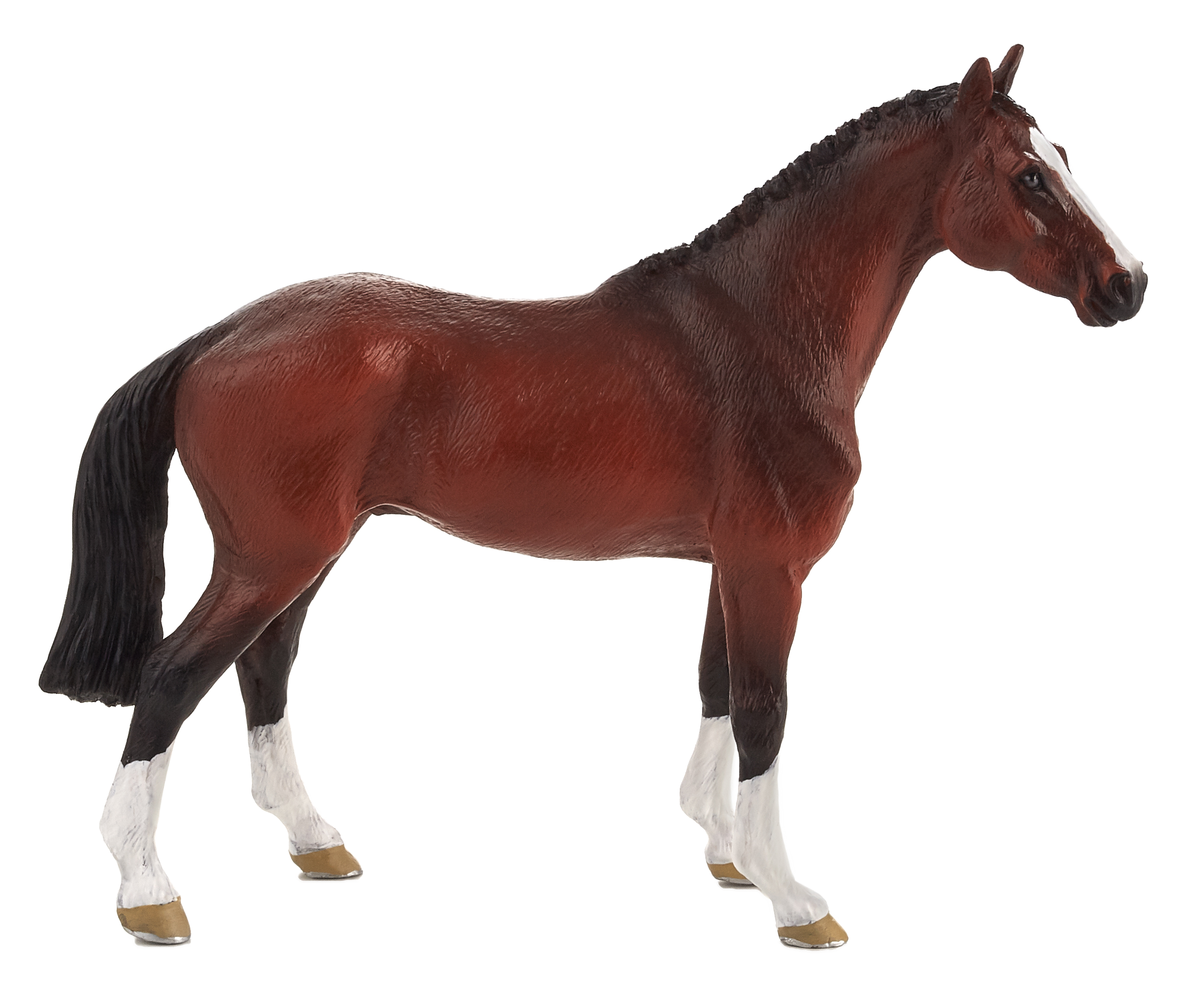 Dutch Warmblood