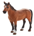 Trakehner