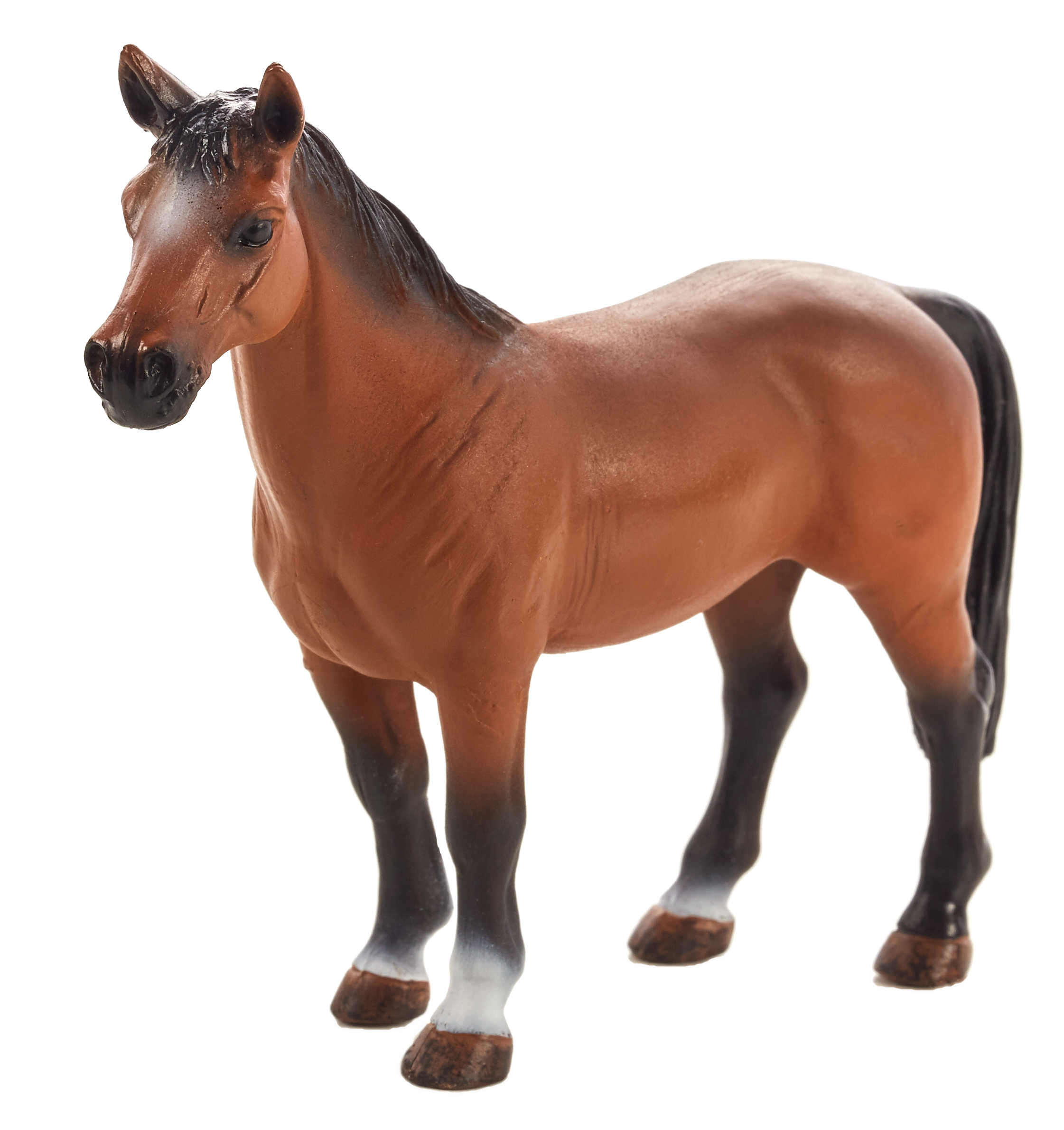 Trakehner