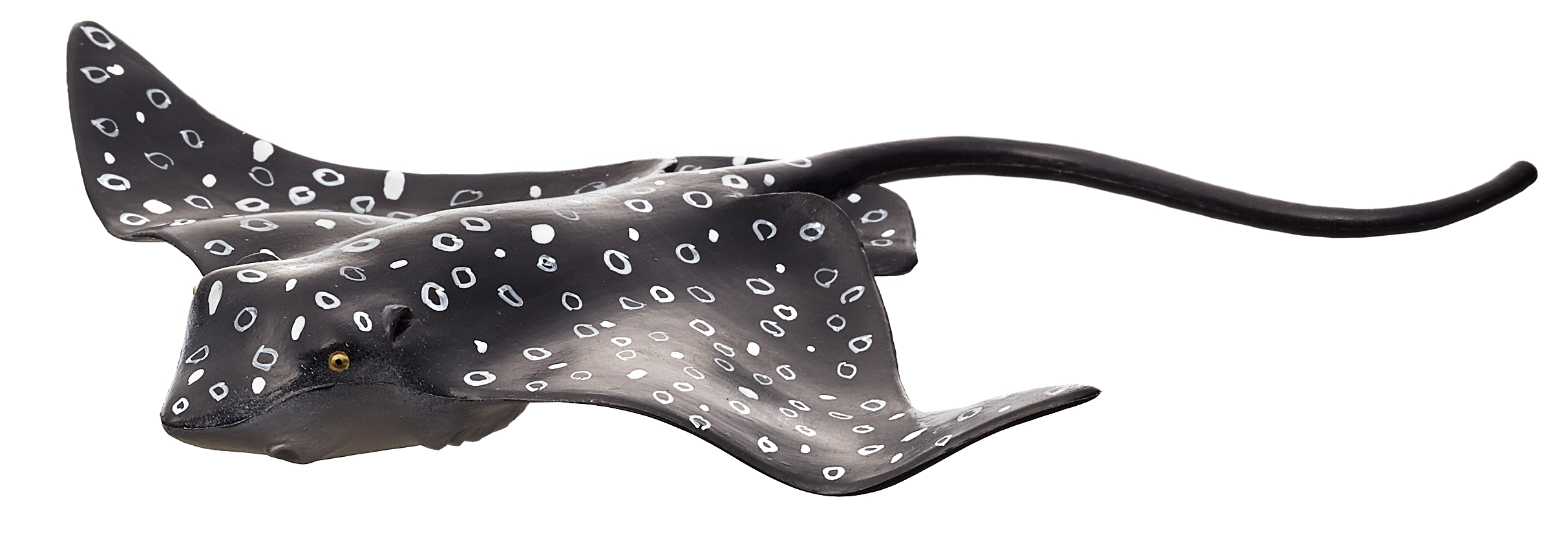 Spotted Eagle Ray