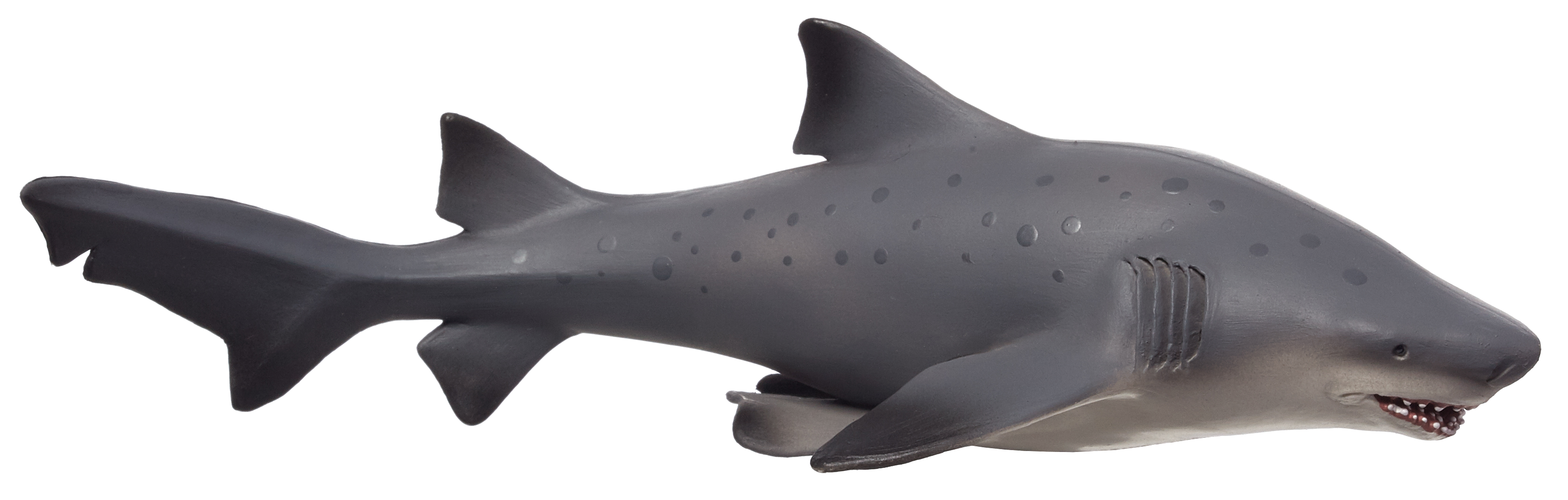 Bull Shark Deluxe