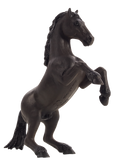 Mustang Rearing Black