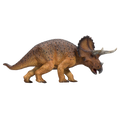 Triceratops