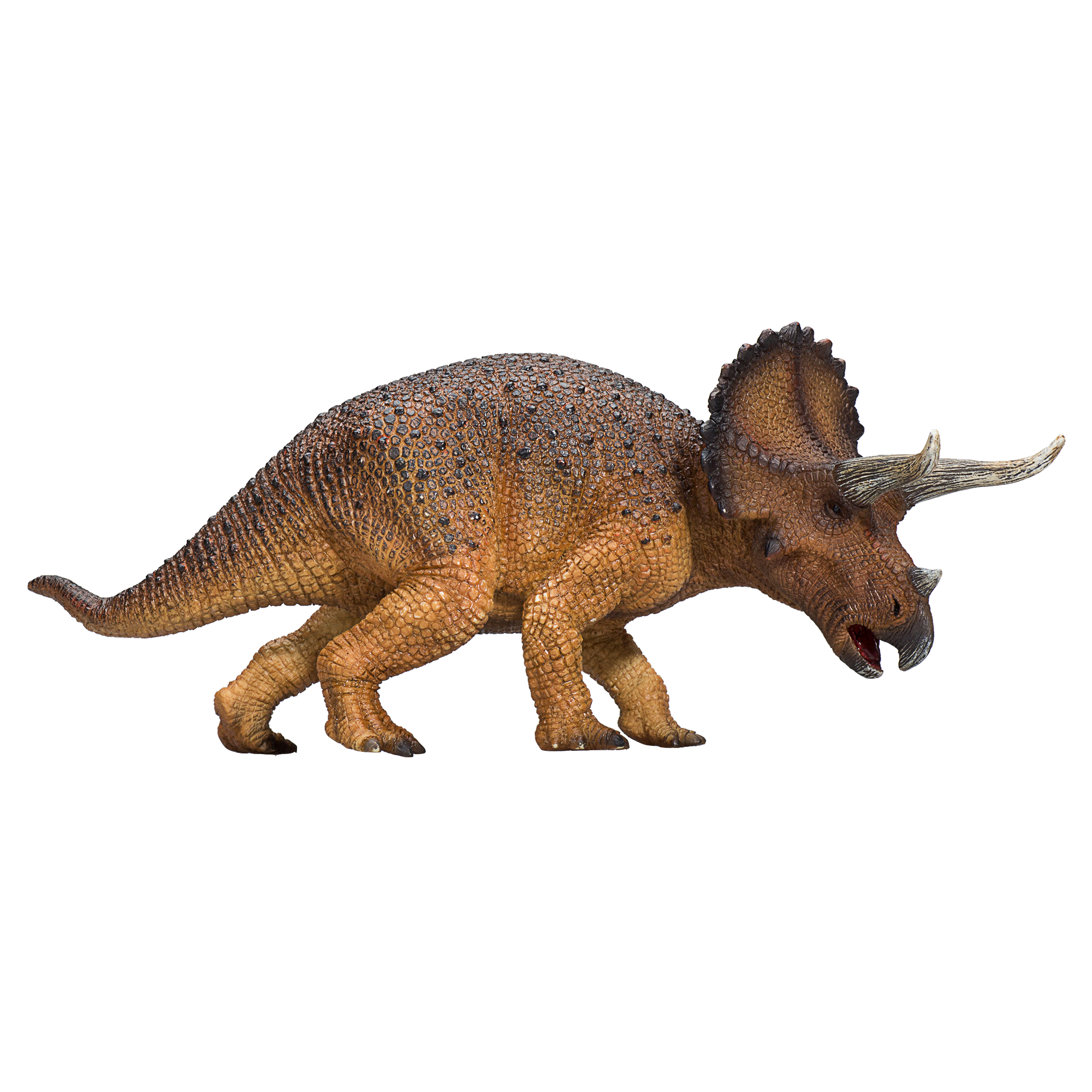 Triceratops