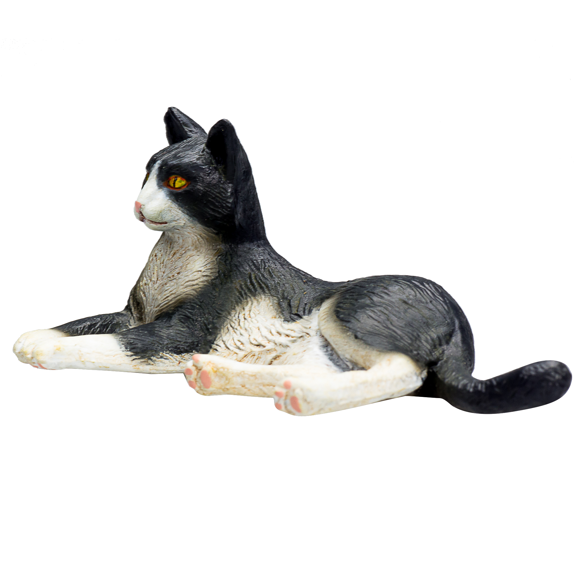 Cat Lying Black and White